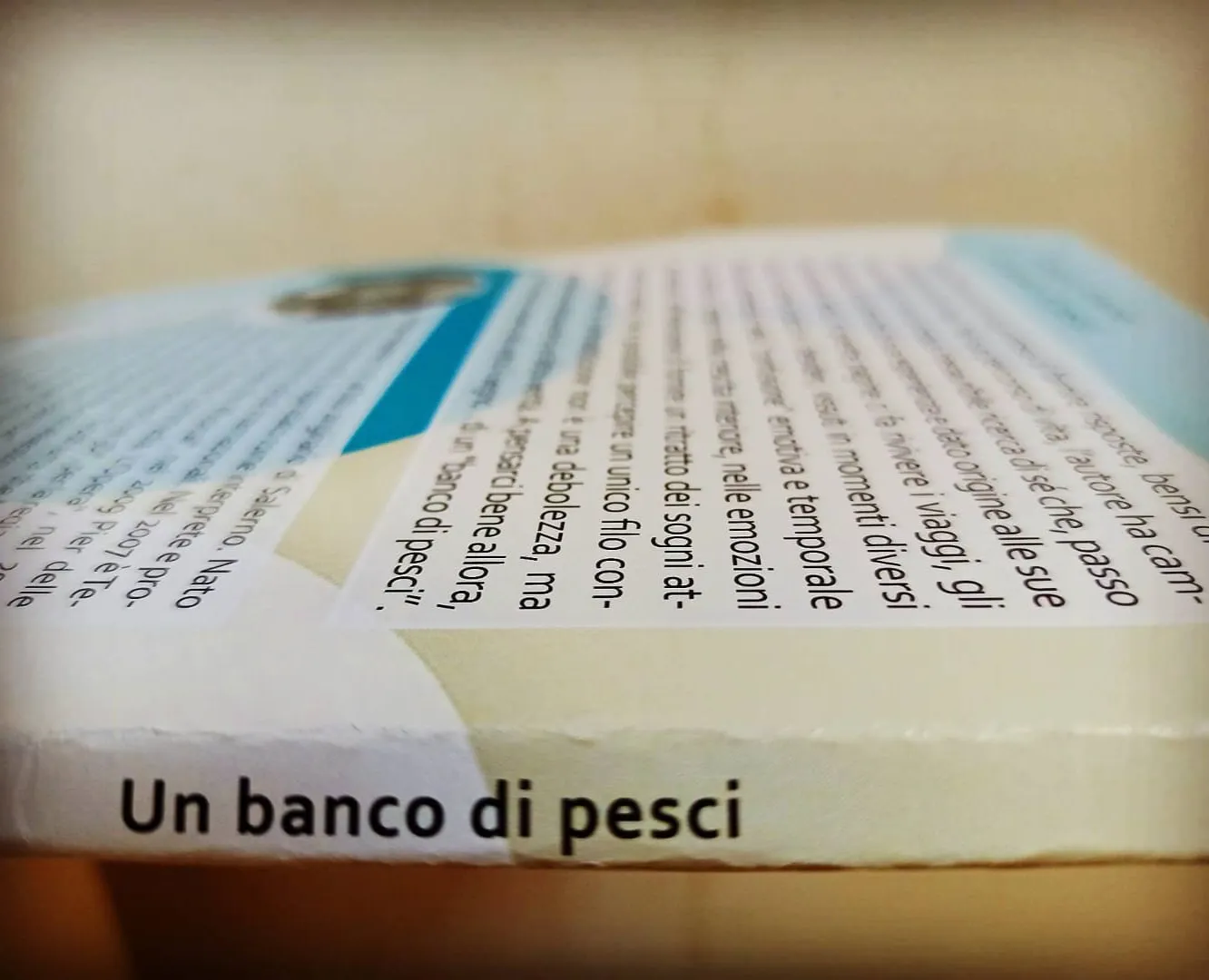 Un Banco di Pesci Adamo